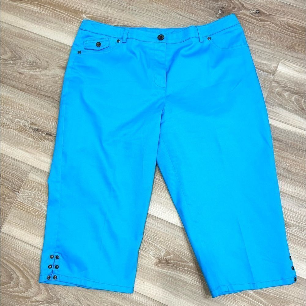 NEW DIRECTIONS Women’s Cropped Pants Size 14